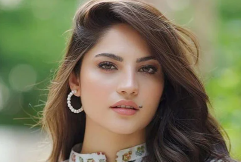 بی جے پی اپنے ہندوتوا نظریے سے بھارت کو تباہ کر رہی ہے: اداکارہ نیلم منیر