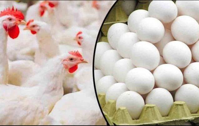 برائلر مرغی کے بعد فارمی انڈوں کی قیمت کو پر لگ گئے۔ 