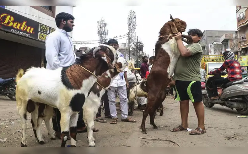 عید قرباں میں 18 دن باقی رہ گئے، مویشی منڈی قربانی کے جانوروں سے بھر گئی