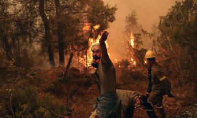 الجیریا میں جنگلات کی آگ سے 65 افراد ہلاک،3 روزہ قومی سوگ