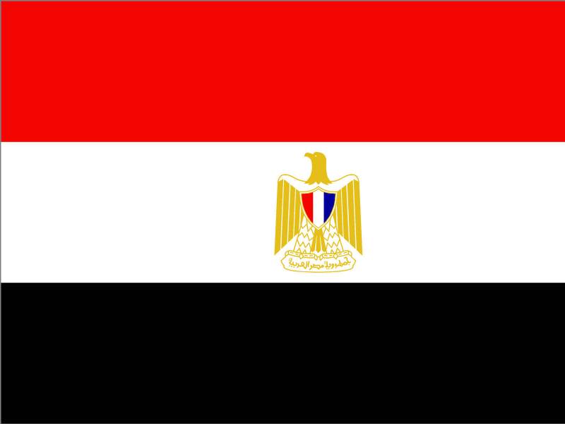 مصر : مسلح افراد کی تحریر سکوائر میں مظاہرین پر فائرنگ، 2 زخمی 