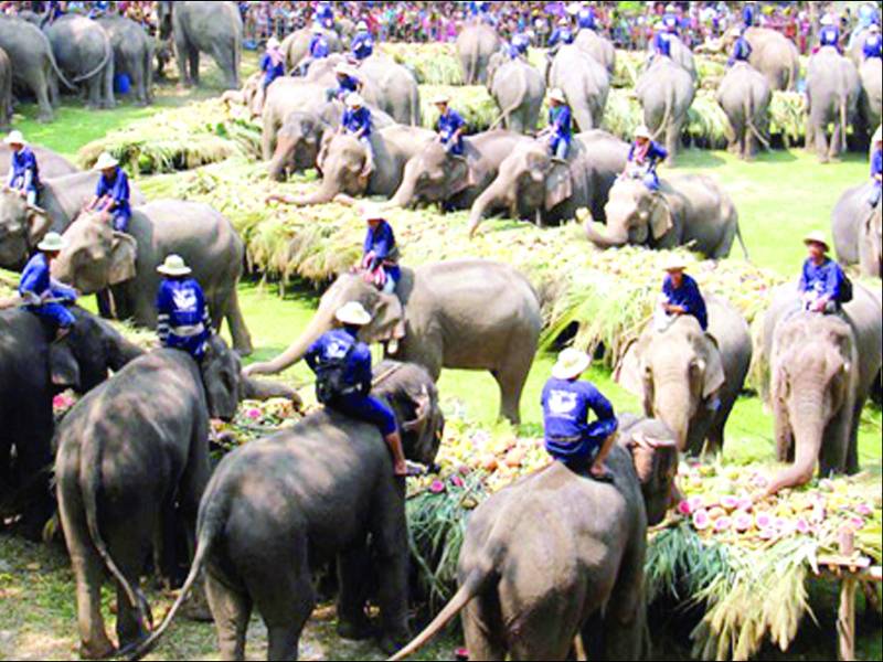 تھائی لینڈ: ہاتھیوں کا سالانہ میلہ، شاندار کھانے کھائیں گے اور خوبصورت پریڈ کرینگے