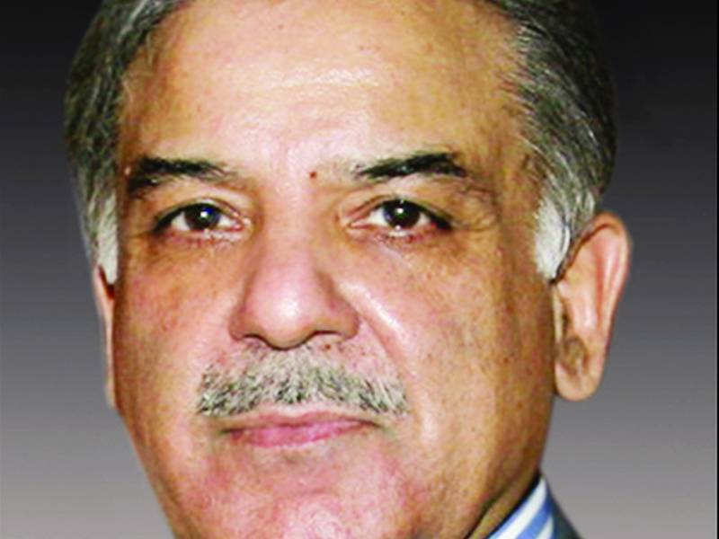 بجلی چوروں کے خلاف بلا امتیاز کارروائی کی ہدایت‘ کوئلے سے پیداوار کی حوصلہ افزائی کریں گے : شہبازشریف