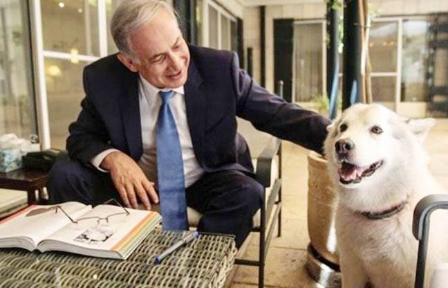 اسرائیلی وزیراعظم کے کتے نے تقریب میں 2 مہمانوں کو کاٹ لیا