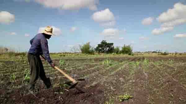 زرعی ملک ہونے کے باوجود اربوں ڈالر خوراک کی درآمدات پر خرچ کر دیئے گئے 