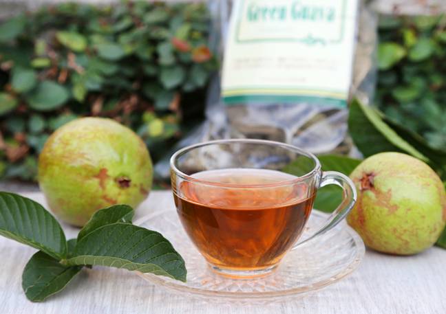 امرود کے پتوں سے بنی چائے پینے سے معدے، خون اور دل کے امراض سے بچا جا سکتا ہے: ماہرین صحت