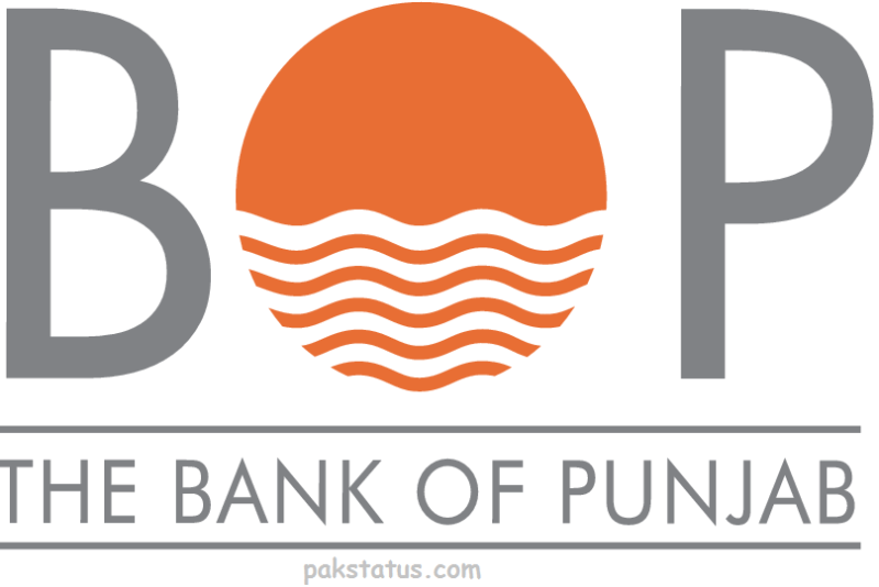 دی بینک آف پنجاب نے کی پہلی ششماہی کے مالیاتی نتا ئج کا اعلان کردیا