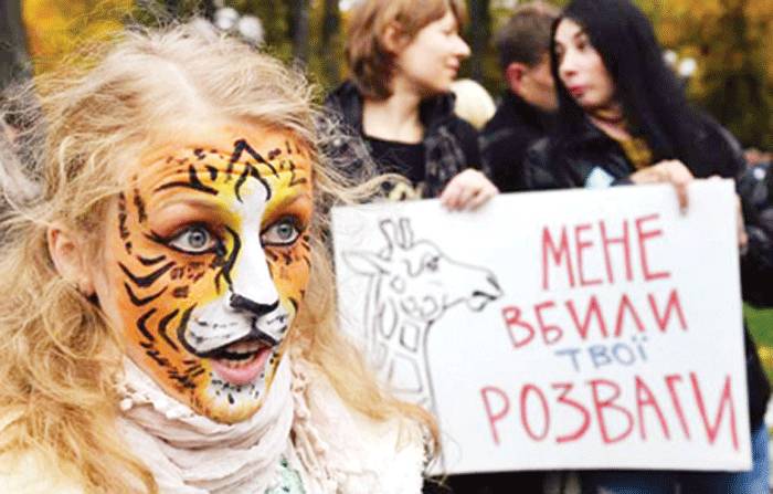 یوکرائن میں خواتین کا چہرے پر شیرنی کی شکل سے مشابہہ پینٹنگ کروا کر احتجاج