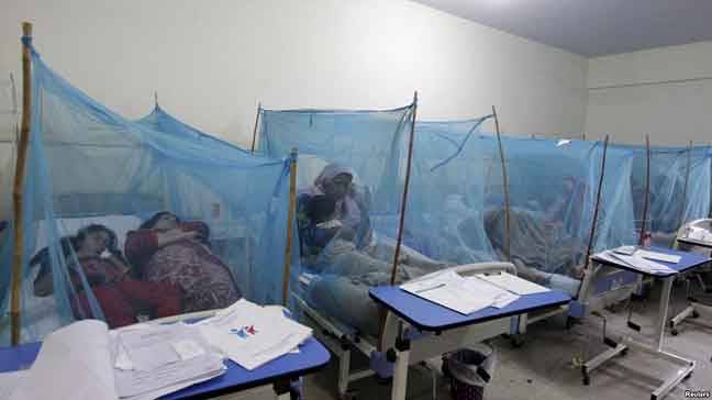 راولپنڈی کے الائیڈ ہسپتالوں میں ڈینگی کے مریضوں کی تعداد 278 ہوگئی