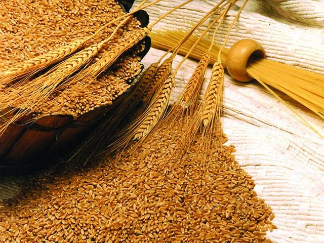گندم کی خریداری جاری، باردانہ میرٹ پر دیاجارہا ہے: علی اکبر بھٹی