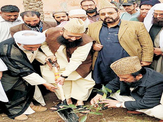 ملک میں شجر کاری مہم خوشحالی اور ترقی کی نوید ہے:مولانا سید عبد الخبیر