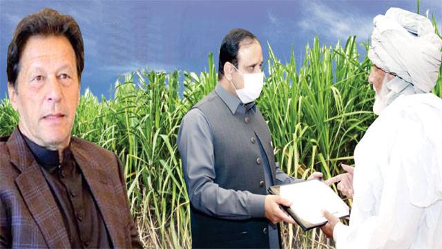 پنجاب حکومت کے زرعی شعبے اور محکمہ مال میں انقلابی اقدامات