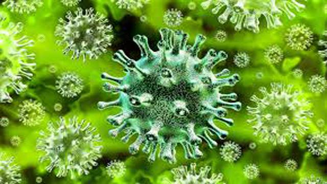 کرونا : مزید 55جاں بحق، نیا وائرس 50ملکوں تک پھیل گیا
