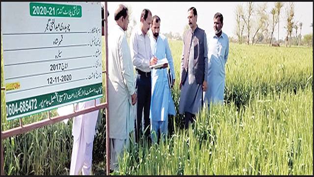 شعبہ زراعت کی ترقی کیلئے کوشاں ہیں :مہر عابد حسین