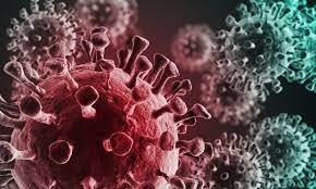 کرونا وائرس ووہان سے نہیں پھیلا: عالمی ادارہ صحت 