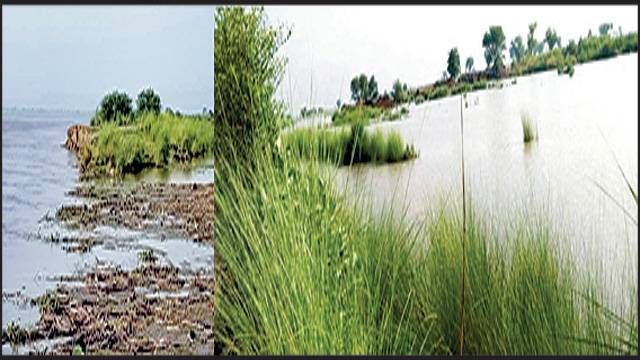 دریائے سندھ میں شدید طغیانی ، کٹاؤ نشیبی علاقوں میں پانی داخل ، ہیڈ ریگولیٹر کو خطرہ 
