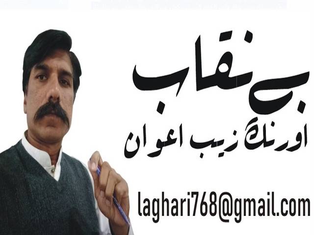 ترمیمی پیکا ایکٹ