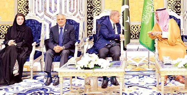 موسمیاتی تبدیلی، پاکستان زیادہ متاثر ممالک میں شامل، قوم شجرکاری میں بڑھ چڑھ کر حصہ لے: شہباز شریف