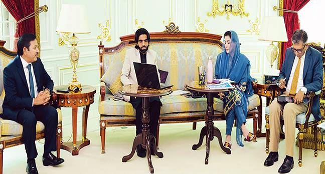 بجلی کے نرخ میں کمی عوام دوستی کا ثبوت، مریم نواز: نوازشریف، شہباز کو خراج تحسین