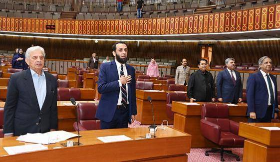 قومی اسمبلی : فلسطینو ں سے یکجتی ‘ اسرائیلی مظالم کیخلاف متفقہ ‘ 6نئی نہروں کی تفصیل پیش 