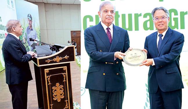 نوجوانوں کو مواقع دیکر ترقی کی رفتار بڑھائیں گے، چین نے ہر موقع پر ساتھ دیا: وزیراعظم