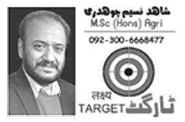  حمید نظامی سے مجید نظامی  تک۔۔۔ عزم، اصول اور صحافت کا وقار: نوائے وقت کی85 ویں سالگرہ پر خراج تحسین 