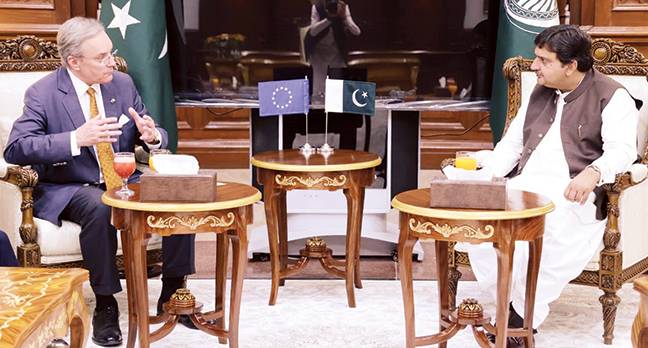 یورپی یونین وفد کی ملاقات، جمہوریت مستحکم ہو رہی: ملک احمد خان