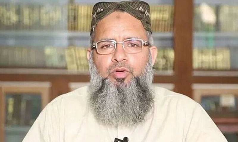 مدارس قومی سلامتی کمیٹی کے فیصلوں کے حمایتی، قوم فوج کے ساتھ ہے: راغب نعیمی
