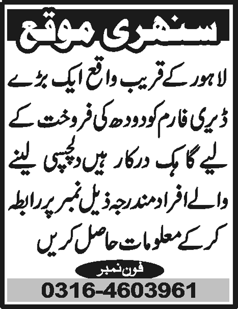 epaper