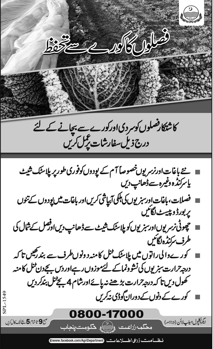 epaper