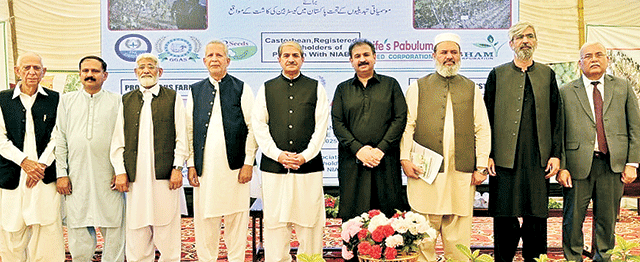 موسمیاتی سمارٹ ایگریکلچر کے زیر اہتمام کیسٹر بین کے فروغ کیلئے تر بیتی ور کشاپ