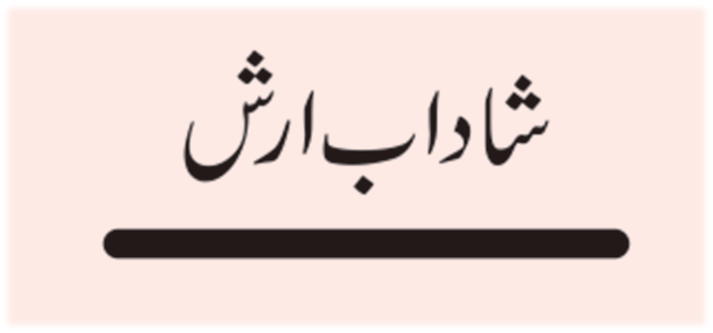 سندھ حکومت کا خواتین کوبااختیار بنانے کامشن